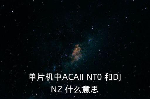 djnz指令，單片機(jī)中ACAII NT0 和DJNZ 什么意思
