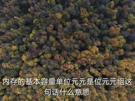 內(nèi)存的基本容量單位元元是位元元組這句話什么意思