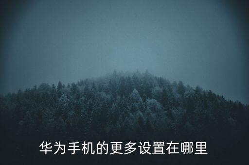 華為設置，華為手機的更多設置在哪里