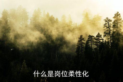 什么是崗位柔性化
