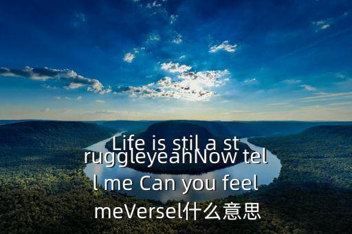 versal，TSP VERSAL乒乓球底板適合什么套膠
