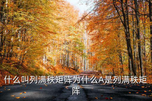什么叫列滿(mǎn)秩矩陣為什么A是列滿(mǎn)秩矩陣