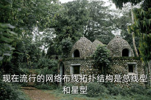 星型結(jié)構(gòu)，現(xiàn)在流行的網(wǎng)絡(luò)布線拓撲結(jié)構(gòu)是總線型和星型