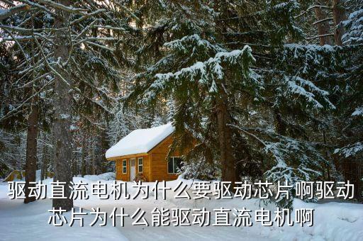 驅(qū)動(dòng)芯片，最常用的數(shù)碼管驅(qū)動(dòng)芯片有哪些