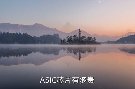 ASIC芯片有多貴