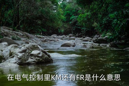 在電氣控制里KM還有FR是什么意思