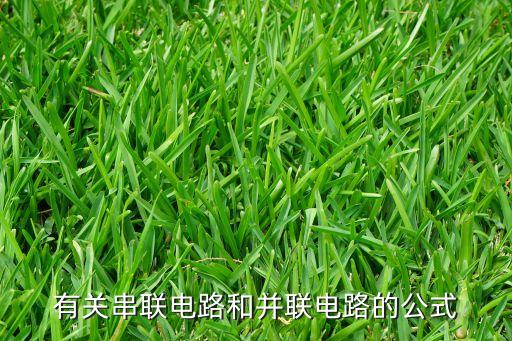 有關(guān)串聯(lián)電路和并聯(lián)電路的公式