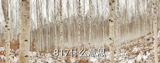 817什么意思