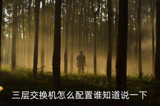 三層交換機怎么配置誰知道說一下