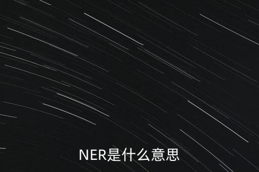 NER是什么意思