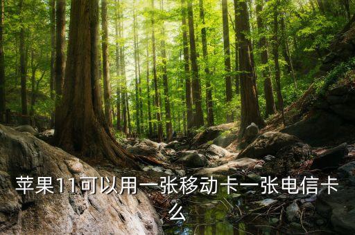 蘋果11可以用一張移動卡一張電信卡么