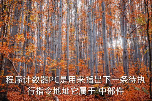 程序計(jì)數(shù)器，程序計(jì)數(shù)器是什么東西