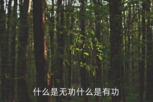 有功，什么叫有功什么叫無功