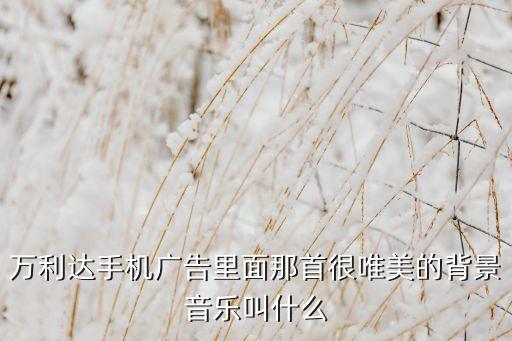 萬(wàn)利達(dá)手機(jī)廣告里面那首很唯美的背景音樂(lè)叫什么