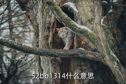 52bb1314什么意思