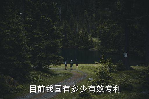 中國發(fā)明專利，目前我國有多少有效專利
