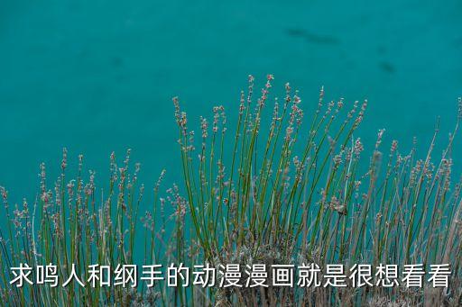 求鳴人和綱手的動漫漫畫就是很想看看