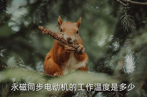 永磁同步電動機的工作溫度是多少