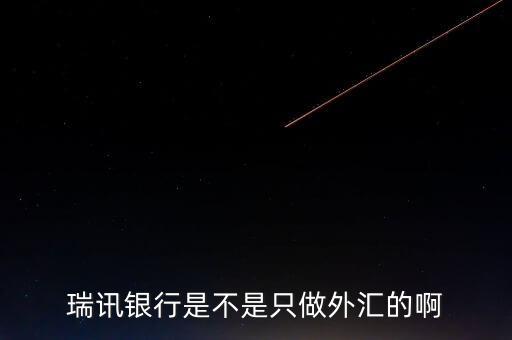 瑞訊銀行是不是只做外匯的啊