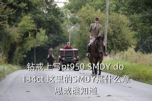 smdy，鉆戒上寫(xiě)pt950 SMDY do134ct 這里的SMDY是什么意思或誰(shuí)知道