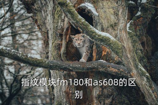 as608，如何用as60851單片機制作保險箱