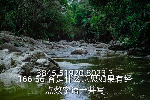 3845 51920 8023 3166 56 各是什么意思如果有經(jīng)點(diǎn)數(shù)字語(yǔ)一并寫(xiě)