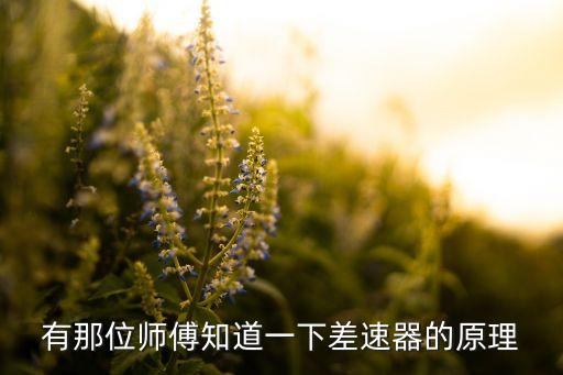 差速器原理，請(qǐng)問(wèn)差速器的原理