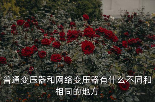 普通變壓器和網(wǎng)絡(luò)變壓器有什么不同和相同的地方