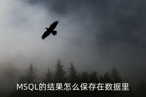 MSQL的結(jié)果怎么保存在數(shù)據(jù)里