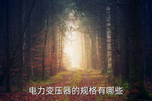 變壓器規(guī)格，變壓器都有多大的