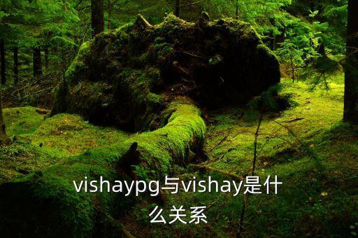 vishaypg與vishay是什么關(guān)系