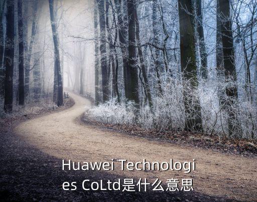 Huawei Technologies CoLtd是什么意思