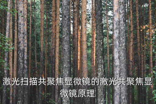 激光掃描共聚焦顯微鏡的激光共聚焦顯微鏡原理