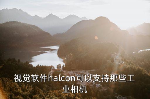 halcon，視覺軟件halcon可以支持那些工業(yè)相機