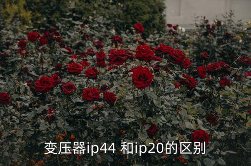 變壓器ip44 和ip20的區(qū)別