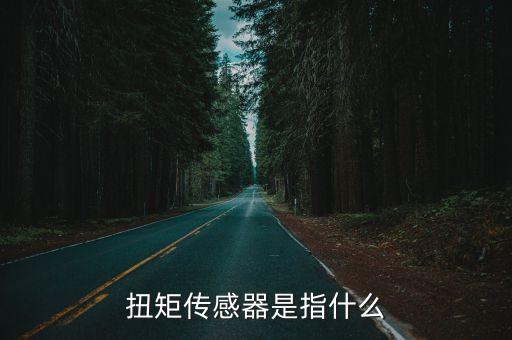扭矩傳感器是指什么