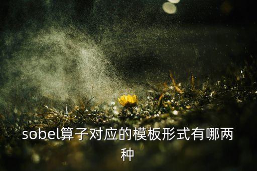 sobel算子對應(yīng)的模板形式有哪兩種