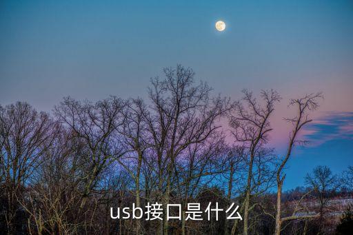 usb口，什么是USB接口