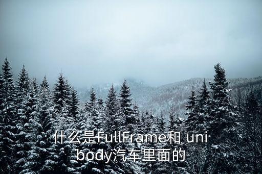 什么是FullFrame和 unibody汽車里面的