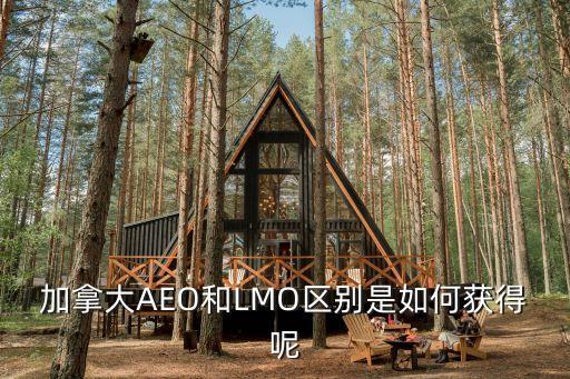 加拿大AEO和LMO區(qū)別是如何獲得呢