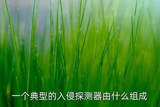 一個(gè)典型的入侵探測(cè)器由什么組成