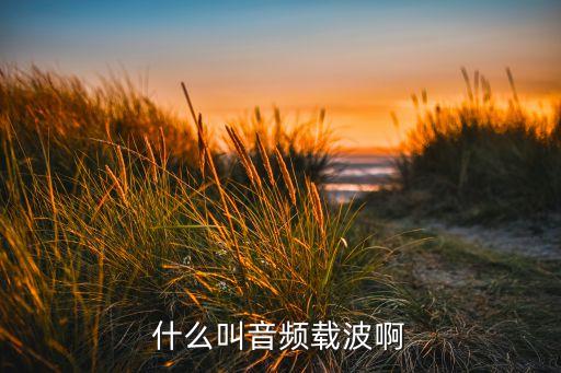 什么叫音頻載波啊