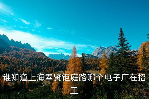 集邦電子，遠(yuǎn)程電子廠