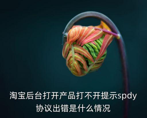 淘寶后臺打開產品打不開提示spdy協(xié)議出錯是什么情況