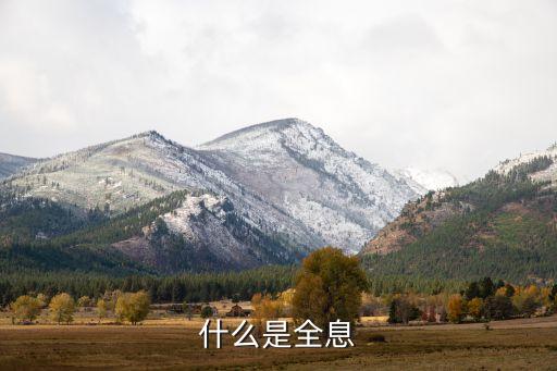 什么是全息