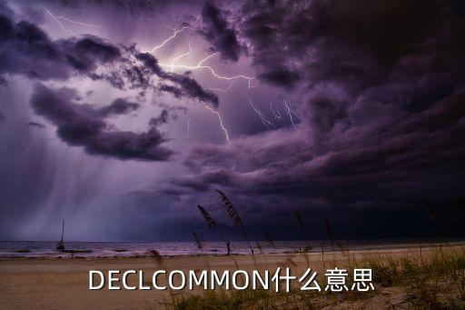 DECLCOMMON什么意思