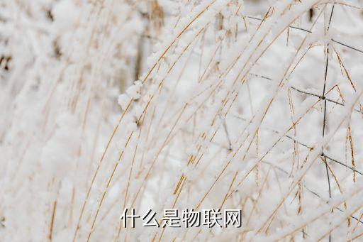 物聯(lián)網(wǎng)的含義，什么是物聯(lián)網(wǎng)