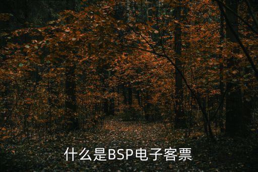 bsp，血BSP是甚么