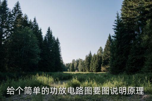 給個(gè)簡單的功放電路圖要圖說明原理