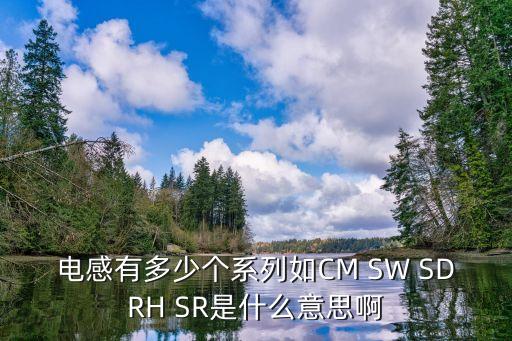 sw系列，sw和SAMA系列都是騎兵嗎